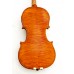Strad Model N600 Violin Handmade by Prize Winning Luthiers with  Case, Bow, Shoulder Rest and Rosin