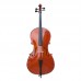  Cello Rental ($20/Month Trial period , $38/Month start from the 5th Month )