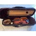 Wexford Violins  Model WVS100 Intermediate Violin Set 4/4 (final sale)