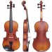  Violin Rental ($5/Month Trial period , $16/Month start from the 5th Month)