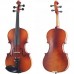  Viola Rental ($6/ Month Trial period , $18/Month start from the 5th Month)
