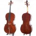 Strad WC 308  Standard Cello