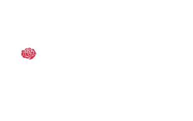 Wexford Violin